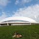 Illustration for article titled The Dogs Of Sochi